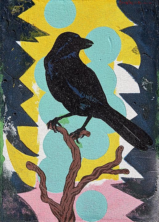 Corvus imparatus (Cuervo de tamaulipas) (2020)